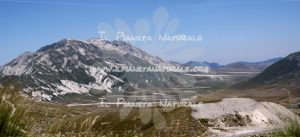 Altopiano di Campo Imperatore – Parco del Gran Sasso – ITA - Il Pianeta Naturale