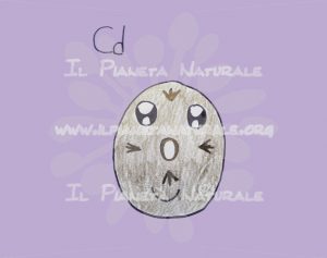 CD rom dischetto - Il Pianeta Naturale