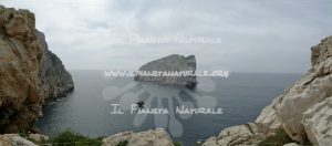 Capo Caccia – Sardegna – ITA - Il Pianeta Naturale