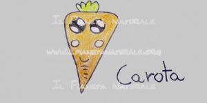 Carota carrot - Il Pianeta Naturale