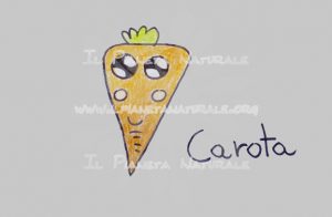 Carota carrot - Il Pianeta Naturale