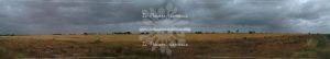 Cornfields – Along Princes Highway – South – AUS - Il Pianeta Naturale