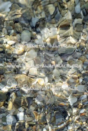 Effetto mare – ITA - Il Pianeta Naturale