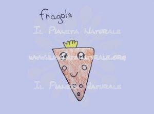 Fragola strawberry - Il Pianeta Naturale
