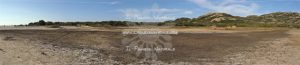 Lago salmastro – Berchida – Siniscola – Nuoro – Sardegna – ITA - Il Pianeta Naturale