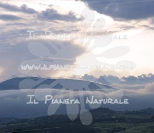 Monte Tezio – Umbria – ITA - Il Pianeta Naturale