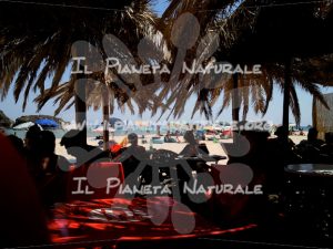 Bar a Chia – Cagliari – Sardegna – ITALY - Il Pianeta Naturale