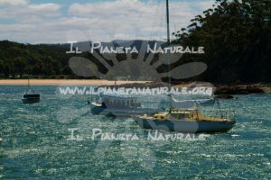 Bay along Princes Highway – AUS - Il Pianeta Naturale