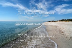 Berchida beach – Nuoro – Sardegna – ITALY - Il Pianeta Naturale