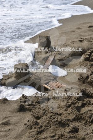 Castelli di sabbia – La torba – Toscana – Tuscany – ITALY - Il Pianeta Naturale
