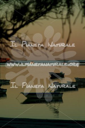 Coral Bay harbor sunset – AUS - Il Pianeta Naturale