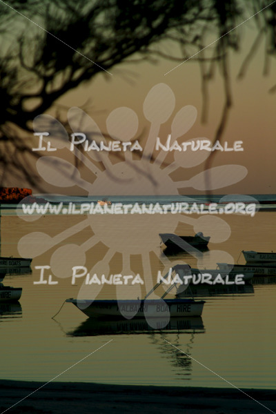 Coral Bay harbor sunset – AUS - Il Pianeta Naturale Coral Bay harbor sunset – AUS - Il Pianeta Naturale