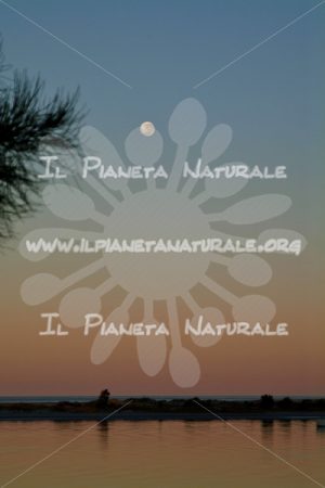 Coral Bay sunset moonrise – AUS - Il Pianeta Naturale