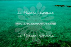 Fondale verdei a Capo Caccia – Sardegna – ITALIA - Il Pianeta Naturale