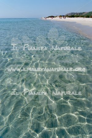 Fulmini in acqua – Berchida – Nuoro – Sardegna – ITALY - Il Pianeta Naturale