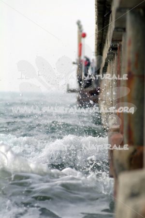 Gocce di spuma in aria – pontile a Forte dei Marmi – ITALIA - Il Pianeta Naturale