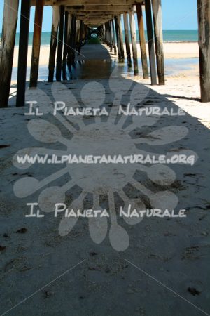 Henley Beach pier – AUS - Il Pianeta Naturale