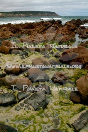 Kangaroo Island green rocks coast – AUS - Il Pianeta Naturale