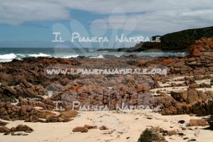 Kangaroo Island orange rocks coast – AUS - Il Pianeta Naturale