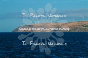 Kangaroo Island wind turbines – AUS - Il Pianeta Naturale
