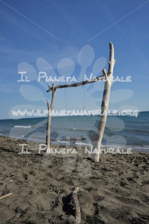 L’altalena – La torba – Toscana – Tuscany – ITALY - Il Pianeta Naturale