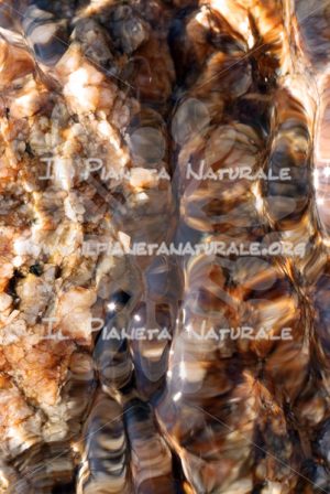 Lenti di mare – Capo Comino – Siniscola – Sardegna  – ITALY - Il Pianeta Naturale