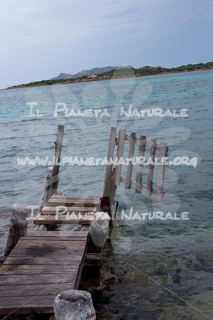 Libero accesso  – Porto San Paolo – Sardegna – ITALY - Il Pianeta Naturale