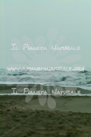 Onde – Forte dei Marmi – ITALIA - Il Pianeta Naturale