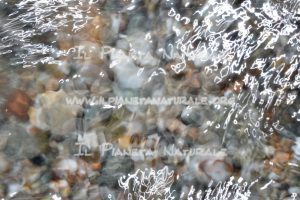 Ornamenti di luce – Fiumefreddo beach – Marina Di Cottone – Catania – Sicily – ITALY - Il Pianeta Naturale