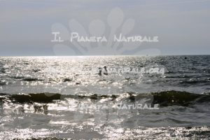 Riflessi al mare – La Feniglia  – Toscana – Grosseto – ITALY - Il Pianeta Naturale