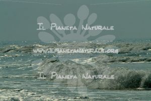 Riflessi del mare – Forte dei Marmi – ITALIA - Il Pianeta Naturale