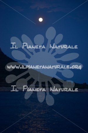 Riflessi di luna – Golfo Aranci – Olbia – Sardegna – ITALY - Il Pianeta Naturale