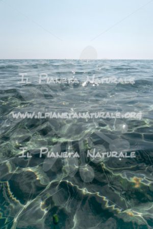 Riflessi in mare – Berchida – Nuoro – Sardegna – ITALY - Il Pianeta Naturale
