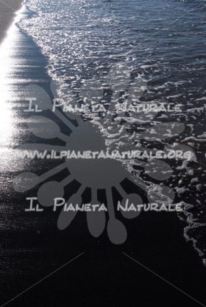 Riflessi sulla battigia – Ansedonia – Toscana – Tuscany – ITALY - Il Pianeta Naturale