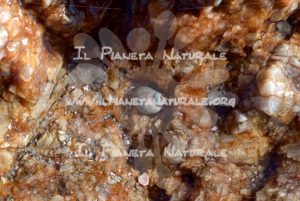 Scoglio a Capo Comino – Siniscola – Sardegna  – ITALY - Il Pianeta Naturale