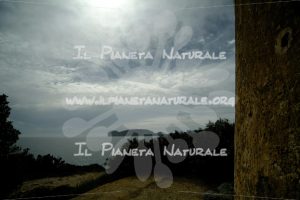 Scorcio a Torre Nuova – Sardegna – ITALIA - Il Pianeta Naturale