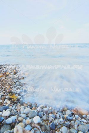 Tempi lenti – Santa Lucia – Siniscola – Sardegna – ITALY - Il Pianeta Naturale