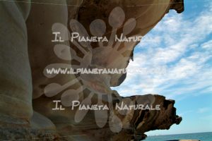 The Tamarama big rock – AUS - Il Pianeta Naturale