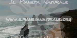 The Twelve Apostles – AUS - Il Pianeta Naturale