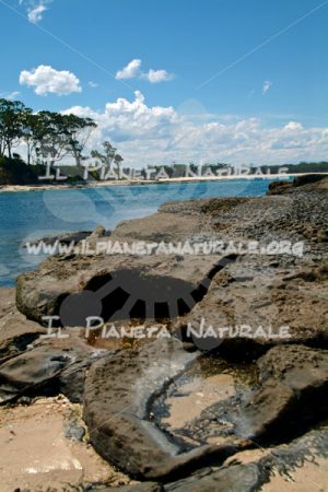 The sea on Princes Highway – AUS - Il Pianeta Naturale