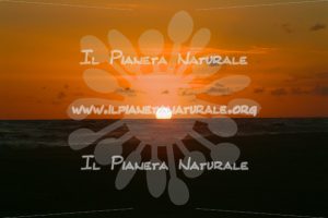The sunset – AUS - Il Pianeta Naturale