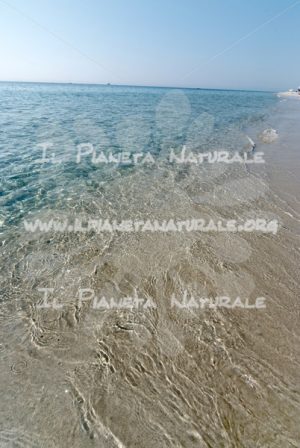 Trasparenze a Berchida – Nuoro – Sardegna – ITALY - Il Pianeta Naturale