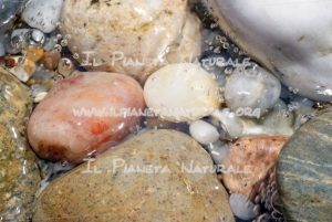 Vuoti di acqua tra i sassi – Santa Lucia – Sardegna – ITALY - Il Pianeta Naturale