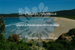 Wilsons Promontory National Park beach – AUS - Il Pianeta Naturale