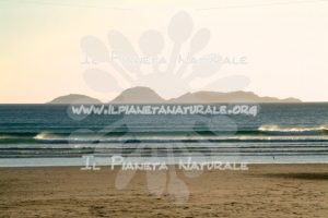 Wind and Waves – Wilsons Promontory National Park – AUS - Il Pianeta Naturale